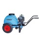 Gruppo irrorante TECNOSPRAY C80 motore BRIGGS&STRATTON 3.5 hp 25 bar