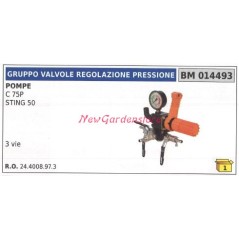 Pressure control valve assembly UNIVERSAL pump Bertolini C 75P 014493 | NewgardenAgri.com