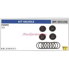 Kit valve UNIVERSELLE pompe Bertolini 31S 003196 | NewgardenAgri.com