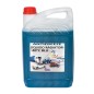 Liquido antigelo per radiatore EUREKA 5 litri temperatura minima -40° R331175