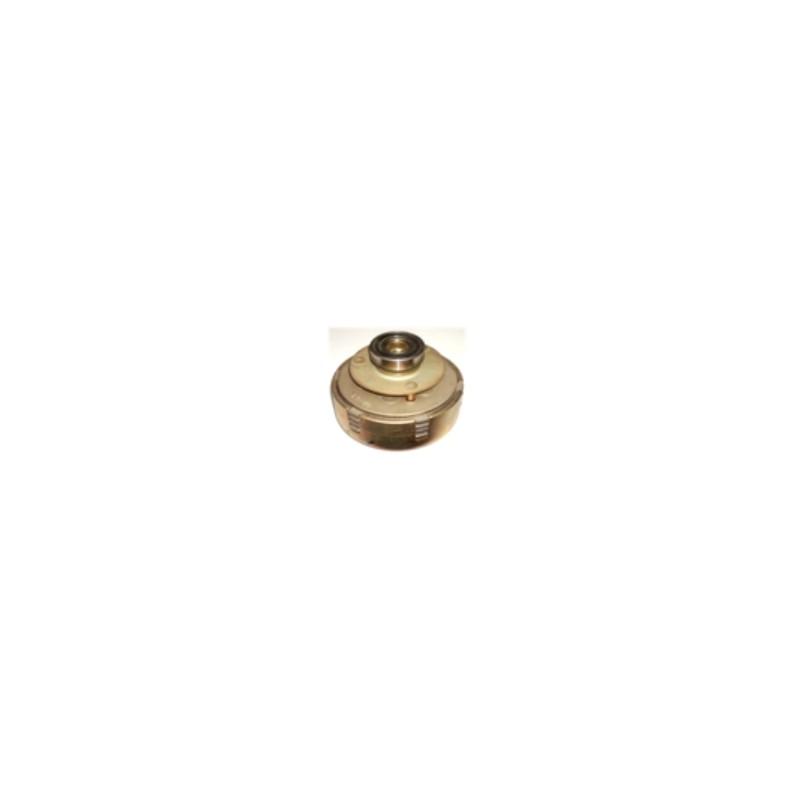 Embrague multidisco ADRIATICA MACCHINE para motocultor cónico 24,0 mm Ø  103x95mm