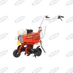 AMA TH50P HONDA GX160 4.8hp Gartenfräse | NewgardenAgri.com