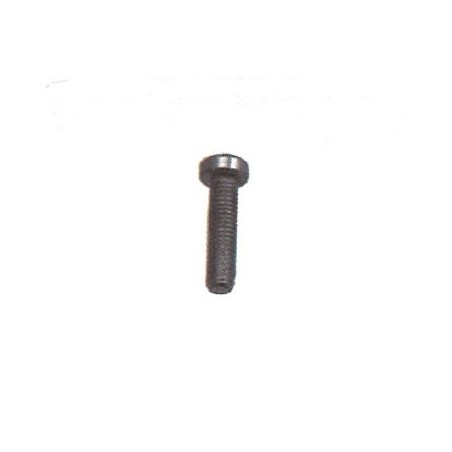 Tornillo UNI 10227 sacudidor MAORI 5x16 mm MAGIKO 4x4 - 046223 | NewgardenAgri.com