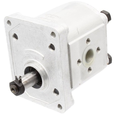 GR2 C 18 DX tractor hydraulic pump | NewgardenAgri.com