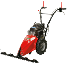 F 1900 B Benassi 4-Takt-Motormäher B&S SERIE 675 EXi OHV kW 2,9 - 163 cm³ mit speziellem „EASY“-Stab 82 cm 8481406 | Newgarde...