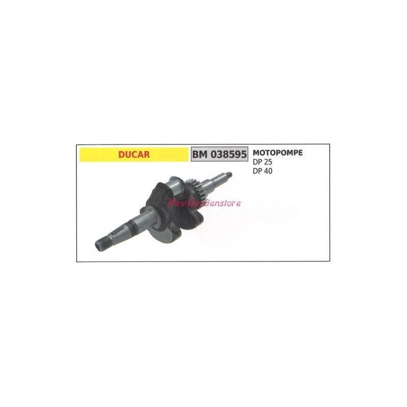 Vilebrequin moteur pompe DUCAR DP 25 40 038595