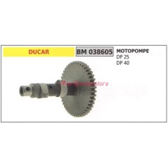 Cigüeñal bomba motor DUCAR DP 25 40 038605 | NewgardenAgri.com