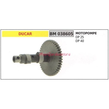 Cigüeñal bomba motor DUCAR DP 25 40 038605 | NewgardenAgri.com