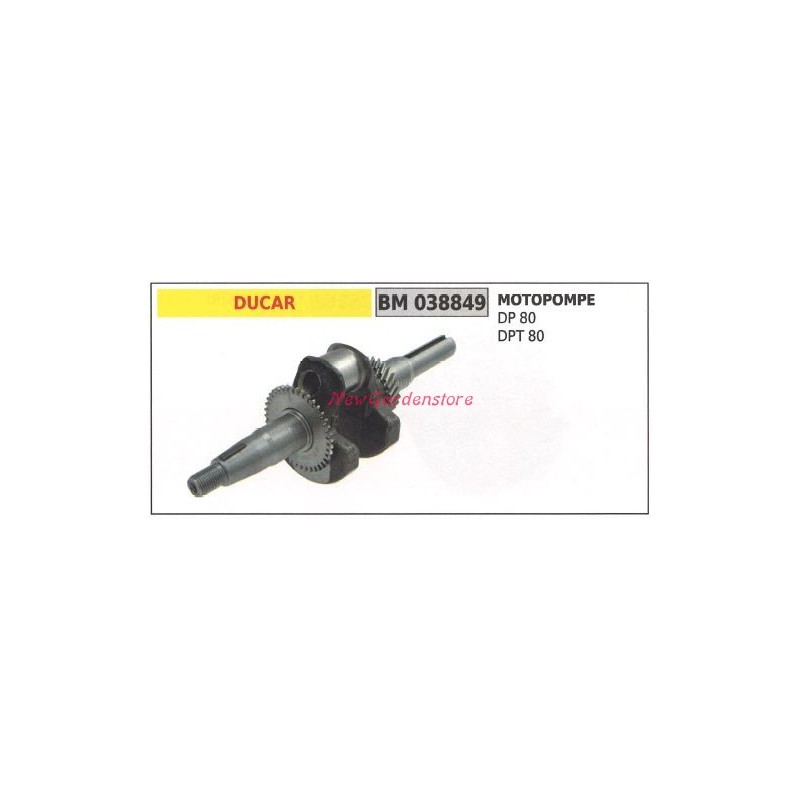 Cigüeñal Bomba motor DUCAR DP 80 DPT 80 038849