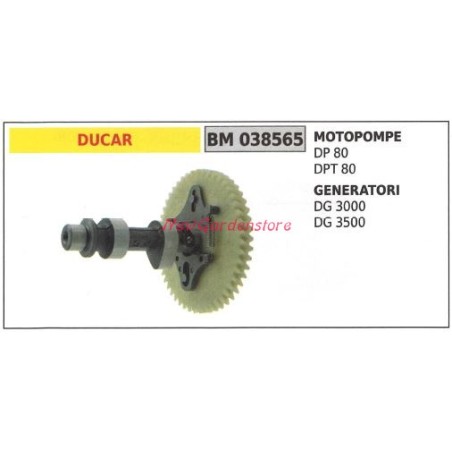 Cigüeñal bomba motor DUCAR DP 80 DPT 80 generador DG 3000 3500 038565 | NewgardenAgri.com