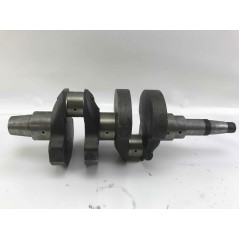 Crankshaft STANDARD diesel engine LOMBARDINI 5LD825-2 1050.190 | NewgardenAgri.com