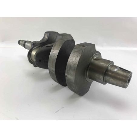 Vilebrequin moteur diesel STANDARD LOMBARDINI 5LD825-2 1050.190