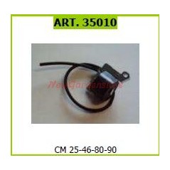 CM MOTORI 25 46 80 90 electronic high-voltage coil for walking tractors 35010 | NewgardenAgri.com