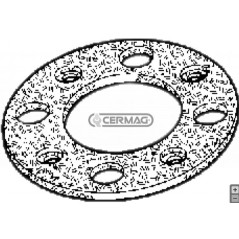 Clutch ring NEWHOLLAND for agricultural tractor 55.65 orchard 15583 | NewgardenAgri.com