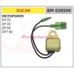 Control unit DUCAR motor pump DP 25 40 80 DPT 80 038599 | NewgardenAgri.com