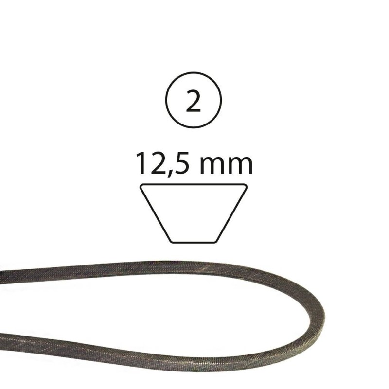 Self-propelled reverse drive belt Polo, Jet, Cricket MEP 520027
