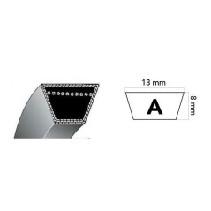 Correa trapezoidal MOTOZAPPA HONDA FX25 12.7x758mm | NewgardenAgri.com