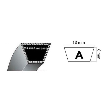 Cinghia trapezoidale MOTOZAPPA HONDA FX25 12,7x758mm | NewgardenAgri.com