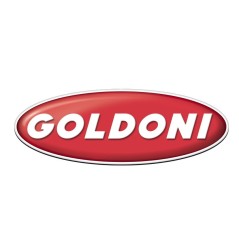 Lama centrale direzionale M22 per cassone fresa motocoltivatore GOLDONI | NewgardenAgri.com