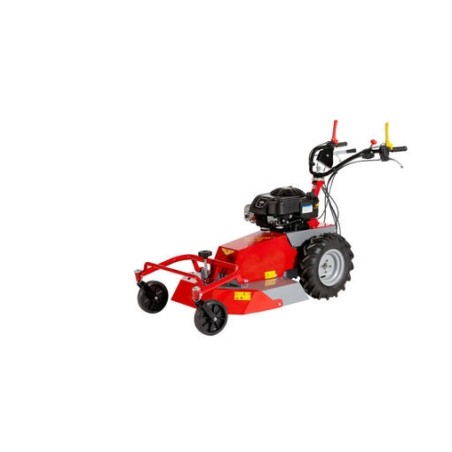 Tondeuse RF630 MECCANICA BENASSI BRIGGS&STRATTON 950E moteur à essence 5.6 HP | NewgardenAgri.com