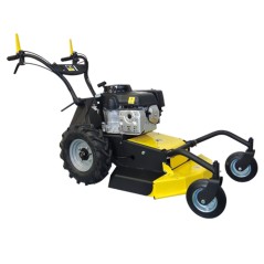 RL 2006 B 53 cm Mähwerk RL 2006 B 53 cm SERIE ROQUES ET LECOEUR mit BRIGGS&STRATTON Motor | NewgardenAgri.com