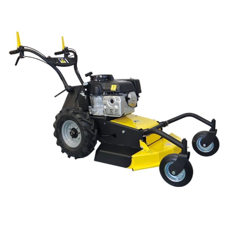 RL 2006 B 53 cm Segadora RL 2006 B 53 cm SERIE ROQUES ET LECOEUR con motor BRIGGS & STRATTON