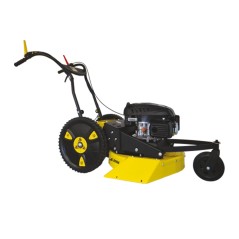 2006 RL 53 cm RL sickle mower SERIE ROQUES ET LECOEUR with RV 170 OHV engine | NewgardenAgri.com