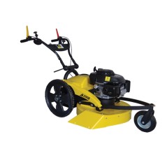 RL 2008 RL 53 cm SERIE ROQUES ET LECOEUR segadora hoz con motor HONDA 201 cc | NewgardenAgri.com