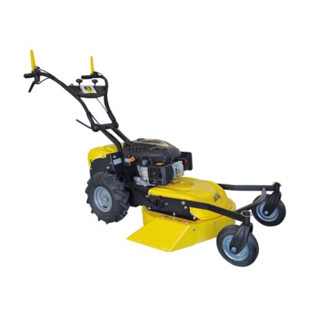 Falciatutto RL 210 RL 53 cm SERIE ROQUES ET LECOEUR con motore RV 225 OHV 223 cc | NewgardenAgri.com