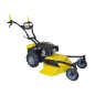 RL 210 RL 53 cm SERIE ROQUES ET LECOEUR sickle mower with RV 225 OHV 223 cc engine