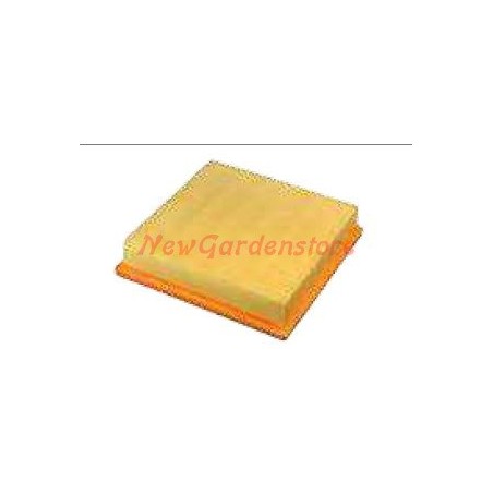 Filtro aria LOMBARDINI per motocoltivatore 6LD435 A03892 | NewgardenAgri.com