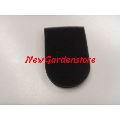 Air filter for motor pump SA18-SS33-SC23-C19-C20-SC55-SA45TC EFCO-OLEOMAC 191508 | NewgardenAgri.com