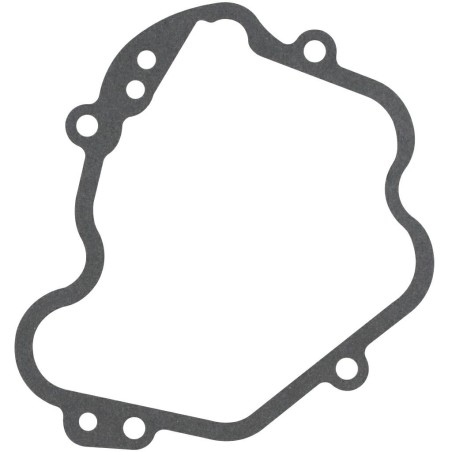 Lawn tractor engine valve cover gasket D440FC LONCIN 120250036-0001 | NewgardenAgri.com