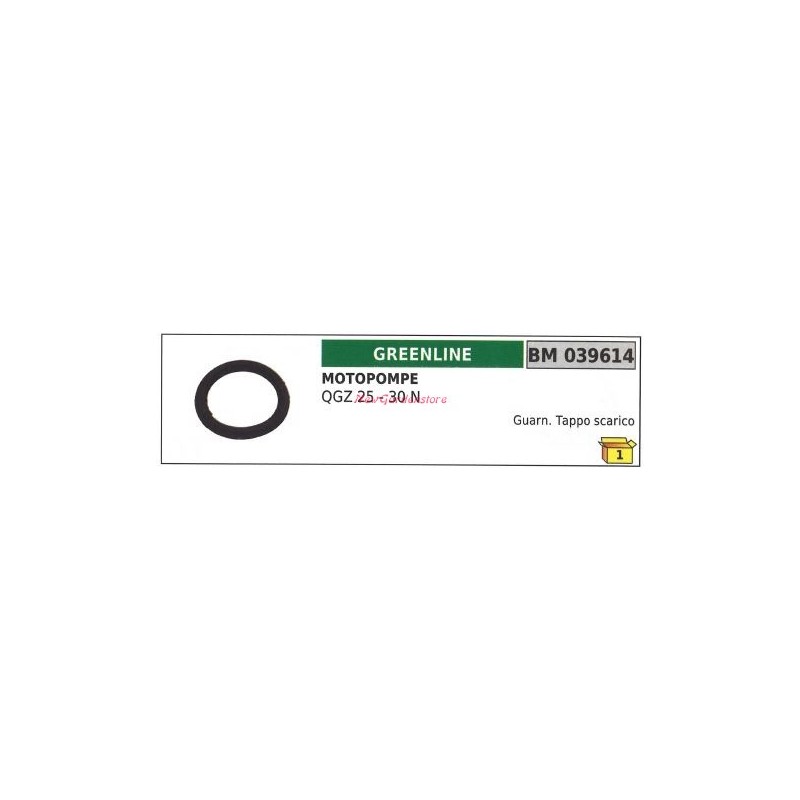 Guarnizione tappo scarico GREENLINE motopompa QGZ 25 30 N 039614