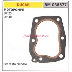 Cylinder head gasket DUCAR motor pump DP 25 40 038577 | NewgardenAgri.com