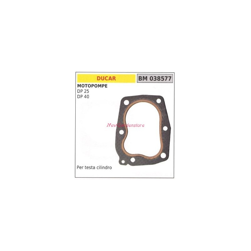 Cylinder head gasket DUCAR motor pump DP 25 40 038577