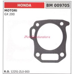 Head gasket HONDA motor pump GX200 009705 | NewgardenAgri.com