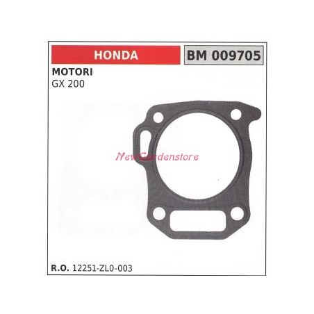 Head gasket HONDA motor pump GX200 009705 | NewgardenAgri.com