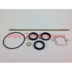 Kit guarnizioni carburatore SHA motocoltivatore motozappa DELL'ORTO R400098 | NewgardenAgri.com