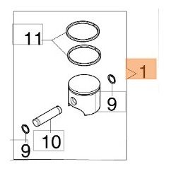 Kit de piston pour motopompe et soufflante modèles BV270 BV300 WP30 56552011A OLEOMAC | NewgardenAgri.com