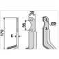 Lame de motoculteur compatible 350-587 BERTOLINI dx 170