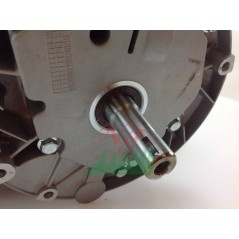 Complete DAYE motor for DY1P70FA motor hoe code 022810 | NewgardenAgri.com