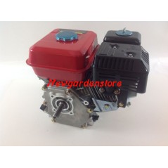 Complete LAUNTOP HORIZONTAL CYLINDER SHAFT ENGINE 19.05 210cc | NewgardenAgri.com