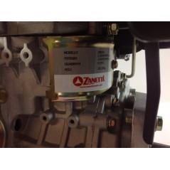 Complete ZANETTI DIESEL ZDM70C1M engine with manual start | NewgardenAgri.com