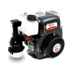 Kompletter Benzin-Rasenmähermotor ZANETTI ZEN150C1M 149cc Luftfilter Ölbad | NewgardenAgri.com