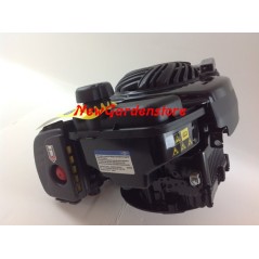 MOTOR COMPLETO BRIGGS 500 motocultor sin freno 22x60 140cc motor 4Hp | NewgardenAgri.com