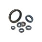 Oil seal for rotary cultivator, motor hoe, motor pump LT270 LAUNTOP 462304608200