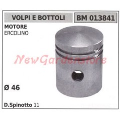 Pistón motobomba VOLPI & BOTTOLI ERCOLINO 013841 | NewgardenAgri.com