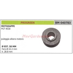 Polea para motocultor PGT 4018 PROGREEN 040783 | NewgardenAgri.com