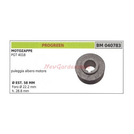 Polea para motocultor PGT 4018 PROGREEN 040783 | NewgardenAgri.com